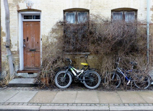 Front yard neglect - Copenhagen-style.