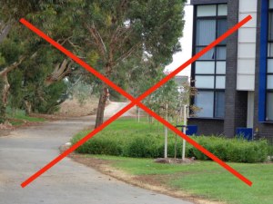 no-more-greenways-E-1